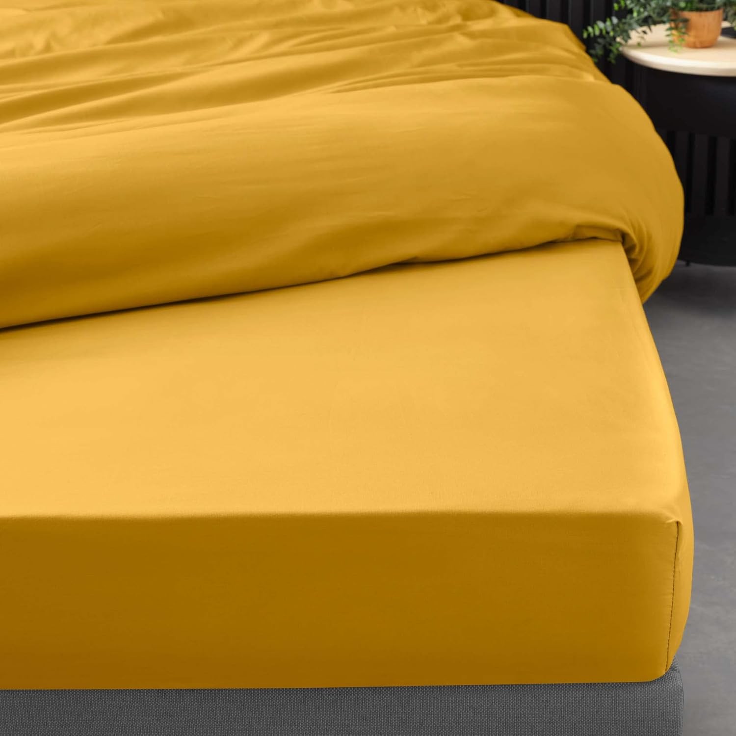 Drap Housse Percaline Douceur d'Intérieur 180x200 cm Curry Jaune Drap Housse Percaline Douceur d'Intérieur 180x200 cm Curry Jaune
