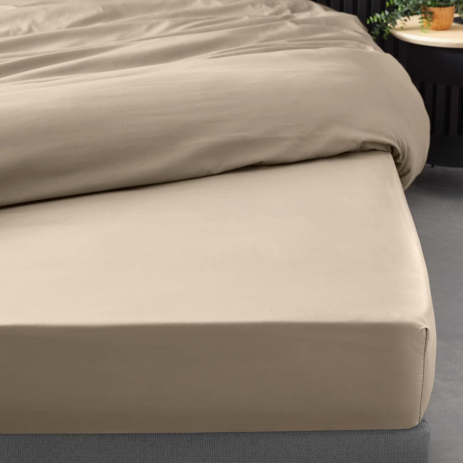 Drap Housse Percaline Douceur d'Intérieur 160x200 cm Sable Beige Drap Housse Percaline Douceur d'Intérieur 160x200 cm Sable Beige