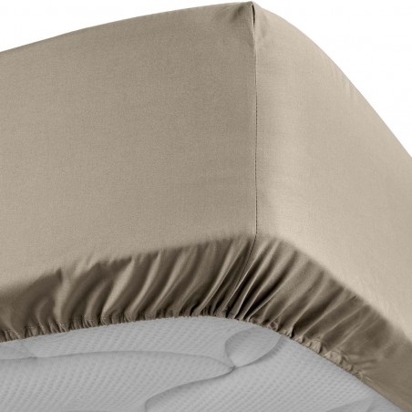 Drap Housse Percaline Douceur d'Intérieur