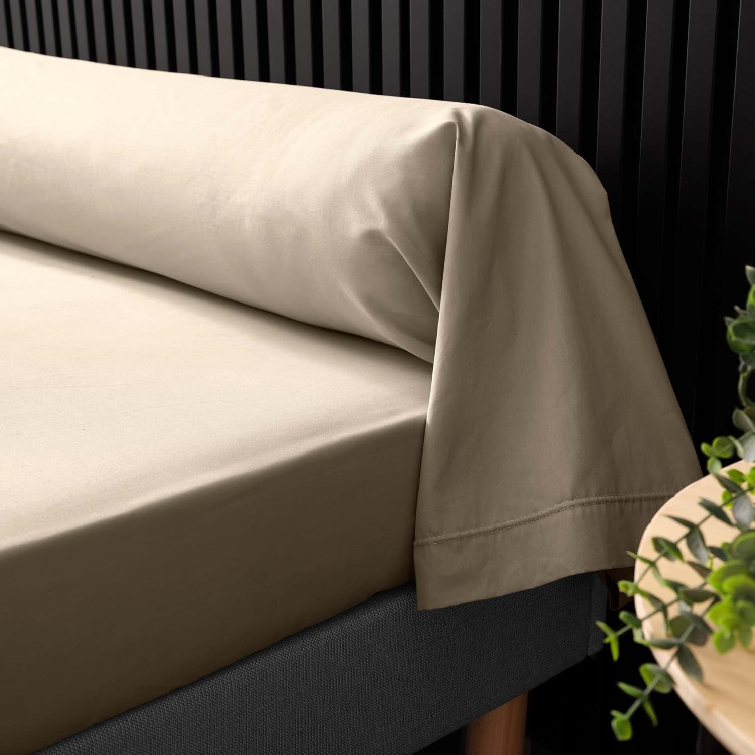 Taie de Traversin 85x185 cm Percaline Douceur d'Intérieur Sable Beige Taie de Traversin 85x185 cm Percaline Douceur d'Intérieur Sable Beige
