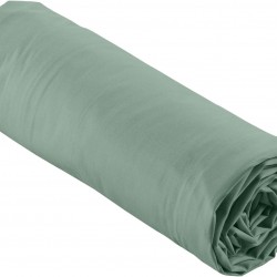 Drap Housse Percaline Douceur d'Intérieur 140x190 cm Tilleul Vert