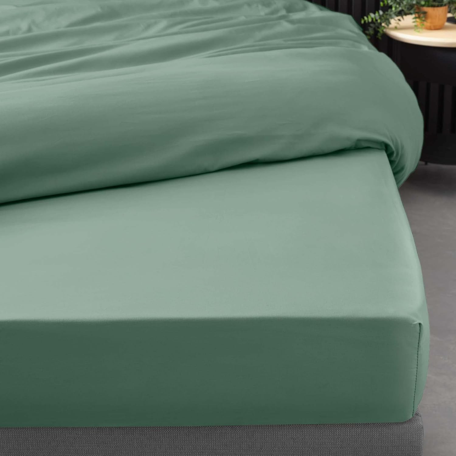 Drap Housse Percaline Douceur d'Intérieur 140x190 cm Tilleul Vert Drap Housse Percaline Douceur d'Intérieur 140x190 cm Tilleul Vert