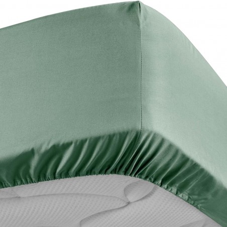 Drap Housse Percaline Douceur d'Intérieur