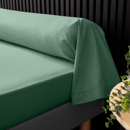 Taie de Traversin 85x185 cm Percaline Douceur d'Intérieur