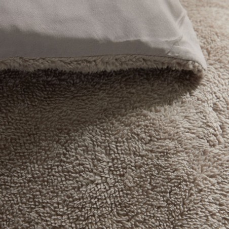 Parure Housse de Couette 240x220 Cm Today Teddy