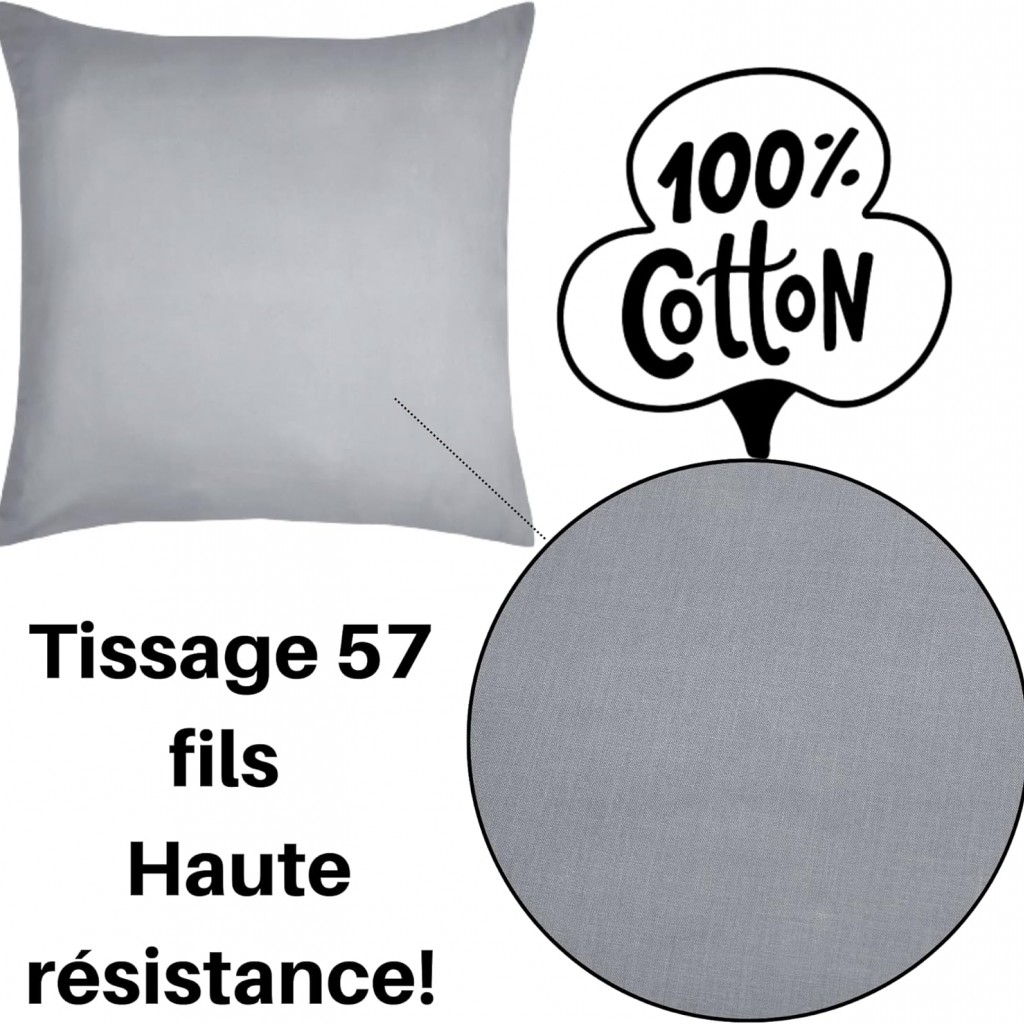 TAIE EDEN SOURIS 63X63 cm