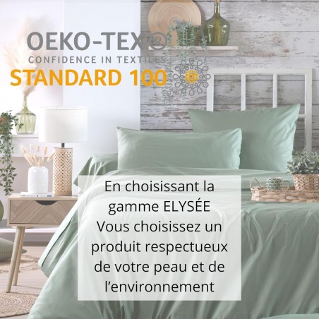 Percale Vert