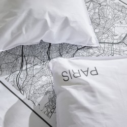 Paris Plan
