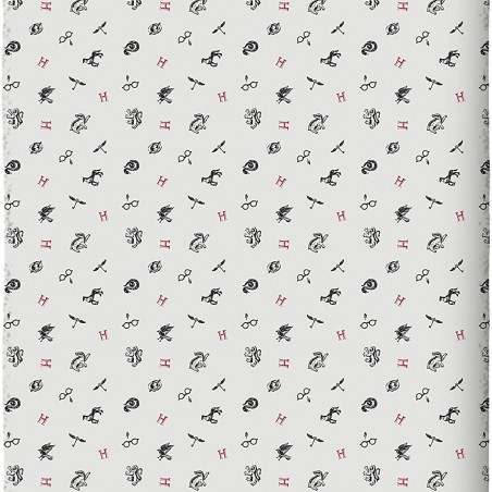 drap housse 2 personnes Harry Potter